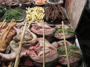 美食烧烤爆料视频播放在线观看,跟随视频一起在线品味美味佳肴